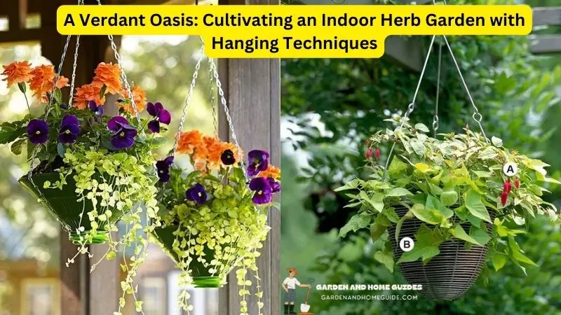 Cultivating an Indoor Herb Garden Hanging Techniques