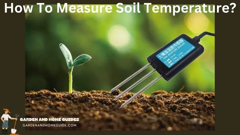 How To Measure Soil Temperature?