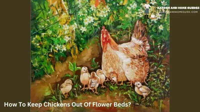 How To Keep Chickens Out Of Flower Beds?