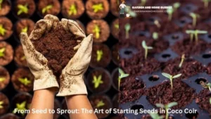 Starting Seeds in Coco Coir: From Seed to Sprout