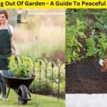 Keep Dog Out Of Garden - A Guide To Peaceful Coexistence