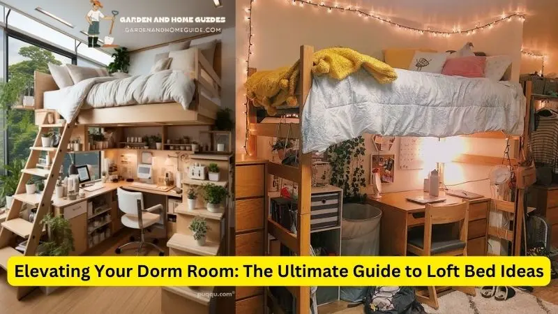 Loft Dorm Bed Ideas: Elevating Your  Room