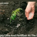 Can You Apply Lime And Fertilizer At The Same Time?