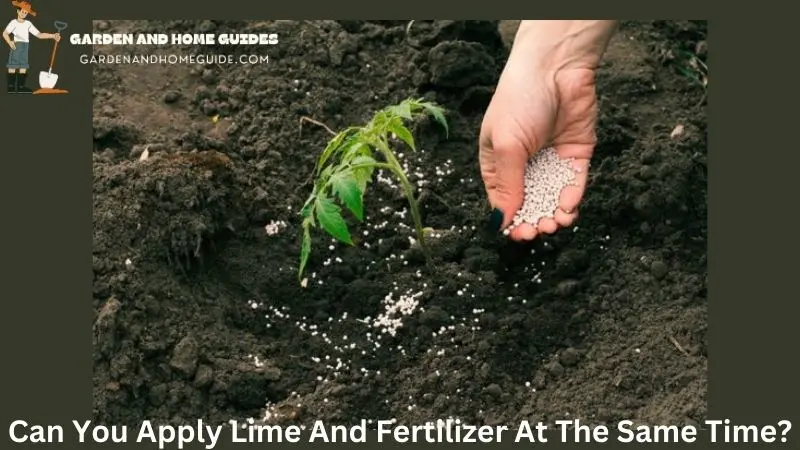 Can You Apply Lime And Fertilizer At The Same Time?