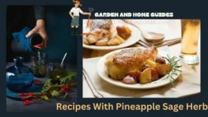 Recipes With Pineapple Sage Herb