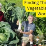 Finding The Largest Vegetable In The World