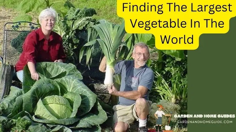 Finding The Largest Vegetable In The World