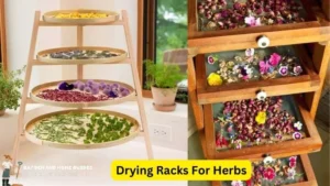 Drying Racks For Herbs