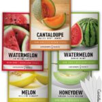 Gardeners Basics Melon Seeds – 5 Variety Pack: Hales Best Cantaloupe, Crimson Sweet Watermelon, Yellow Canary Melon, Green Flesh Honeydew, and Sugar Baby Watermelon – Perfect for Home Gardens.