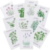 Sereniseed Organic Herb Seeds (10-Pack) – Non-GMO, Heirloom – Includes Basil, Cilantro, Oregano, Thyme, Parsley, Lavender, Chives, Sage, Dill